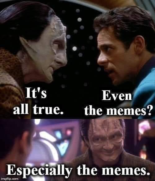 This meme is a still image from the Star Trek: The Next Generation episode "The Inner Light" where a character is trying to understand the concept of memes. The image shows the character, Picard, looking puzzled and the other character, a Betazoid, responding with "It's all true. Even the memes." The image is a humorous take on the idea that even the most obscure and abstract concepts can be understood by a Betazoid, implying that even memes are a universal truth.